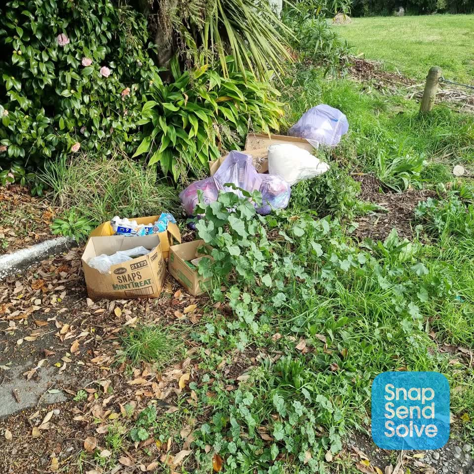 The photograph attached to this rubbish/recycling report