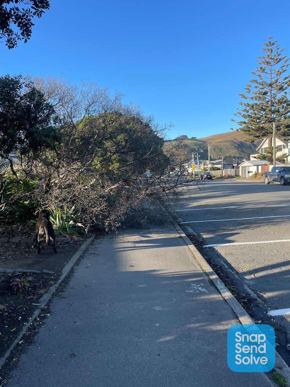 The photograph attached to this roading/streets report