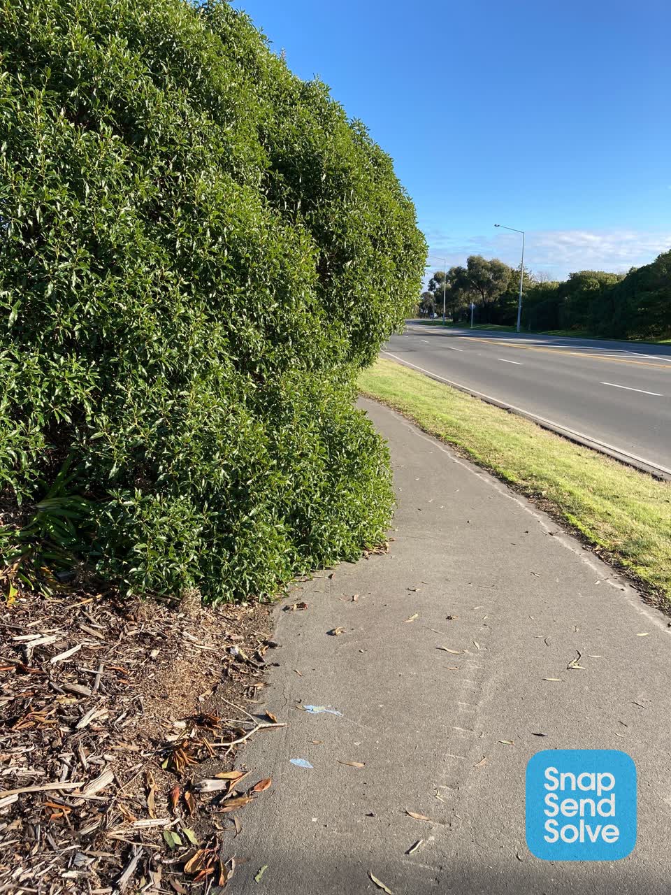 The photograph attached to this roading/streets report
