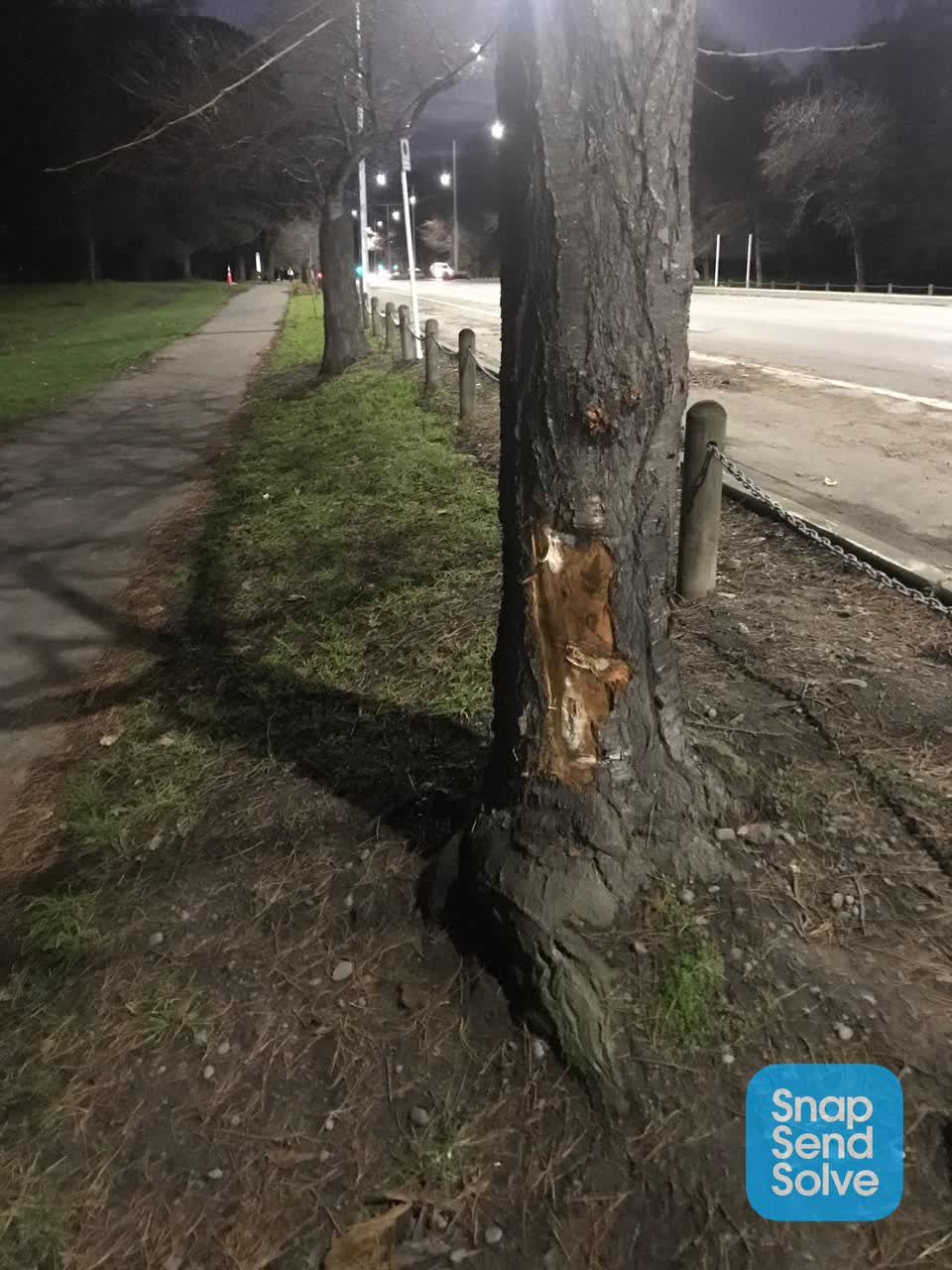 The photograph attached to this parks report