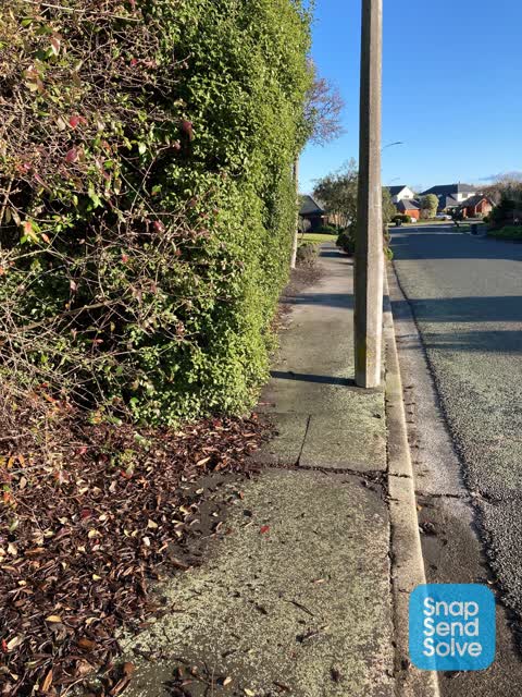 Parks, a report photo
