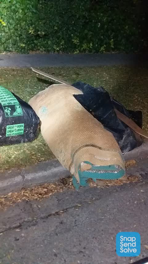 Rubbish/Recycling, a report photo