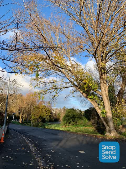 Roading/Streets, a report photo