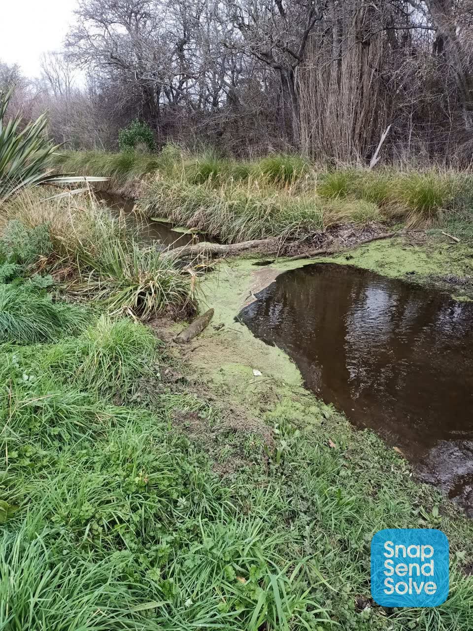 The photograph attached to this parks report