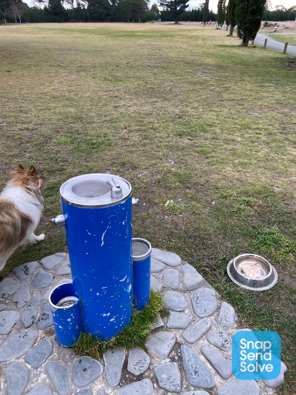 The photograph attached to this parks report