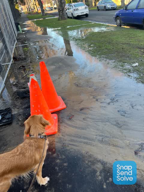 Water Leak, a report photo