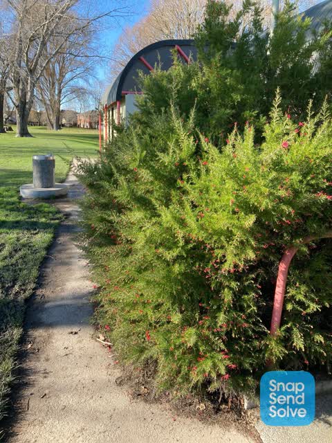 Parks — a report photo