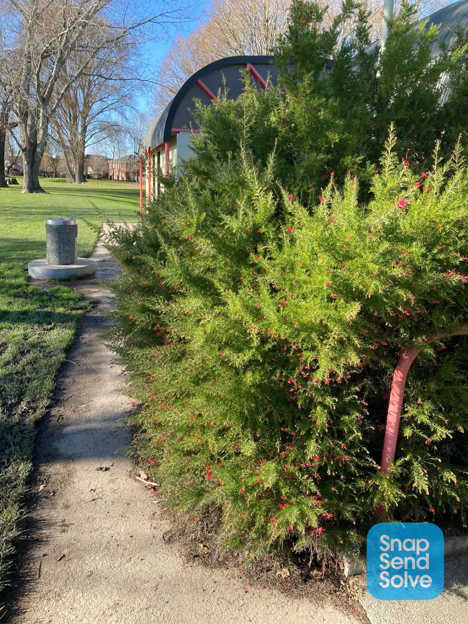 The photograph attached to this parks report