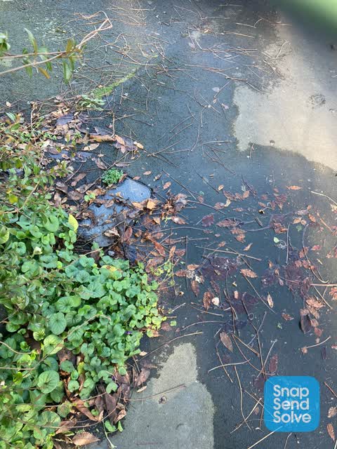Water Leak, a report photo