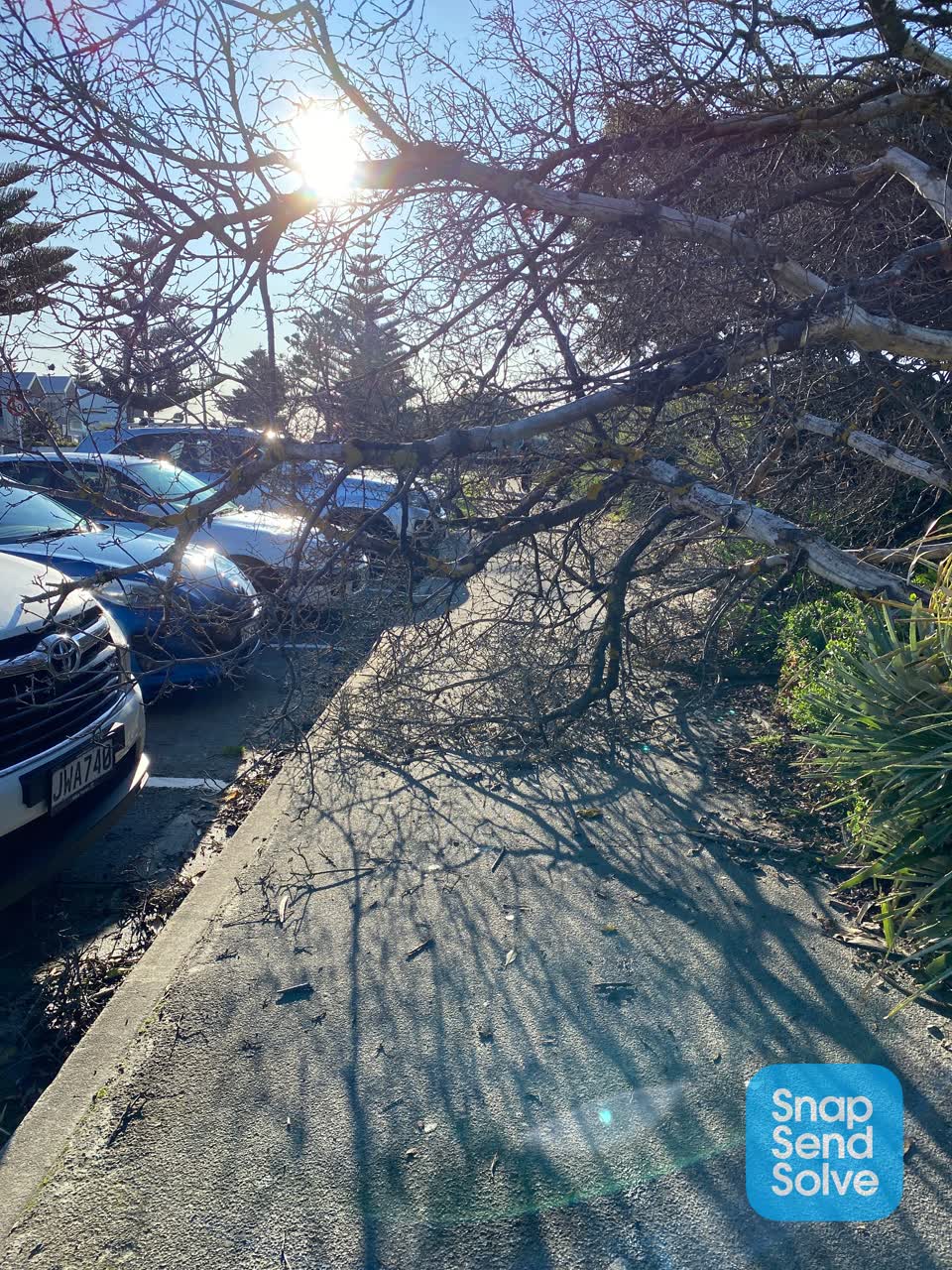 The photograph attached to this parks report