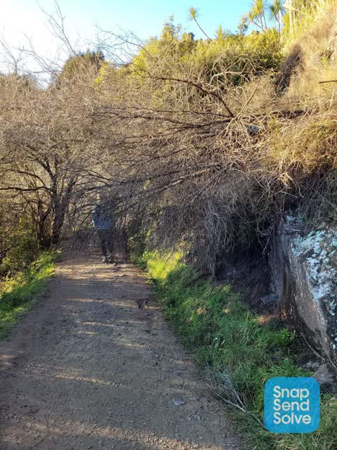 Parks, a report photo