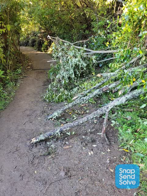 Parks, a report photo