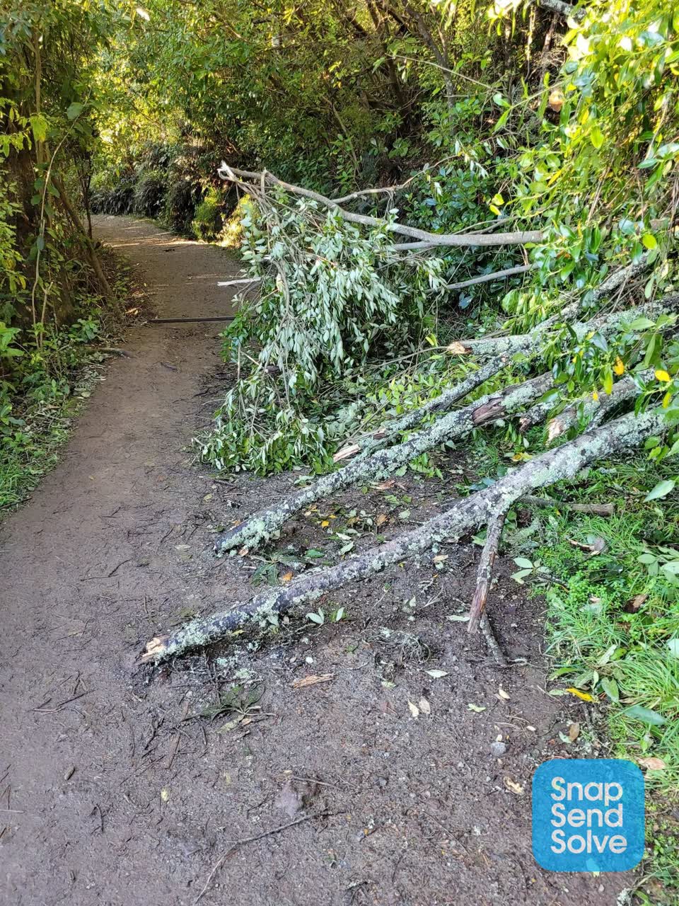 The photograph attached to this parks report