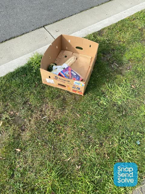 Rubbish/Recycling — a report photo