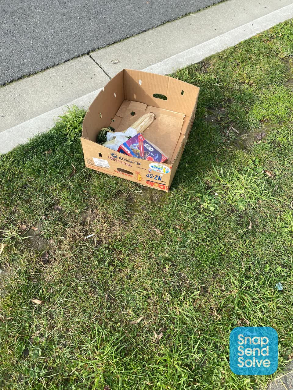 The photograph attached to this rubbish/recycling report