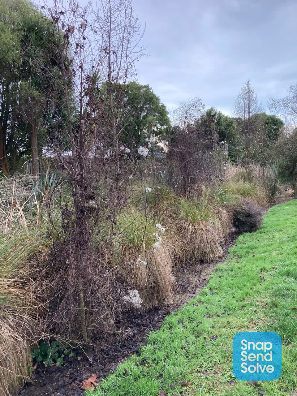 The photograph attached to this parks report