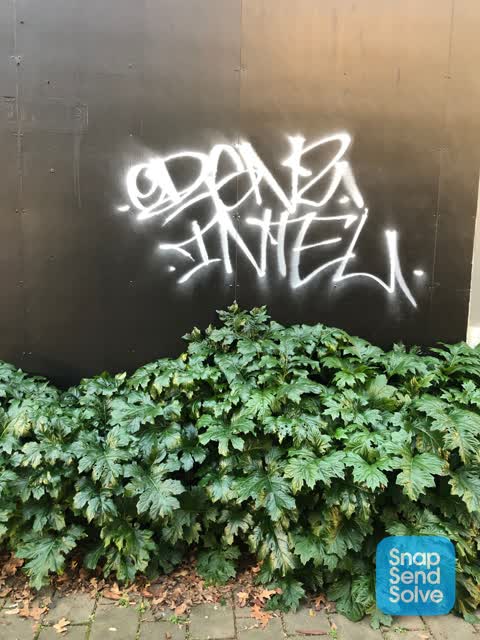 Graffiti — a report photo