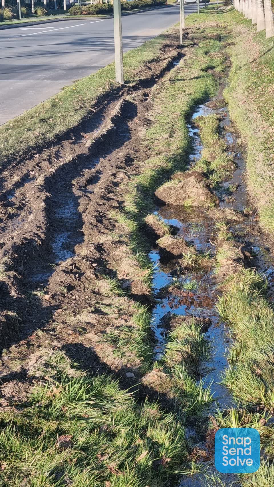 The photograph attached to this parks report