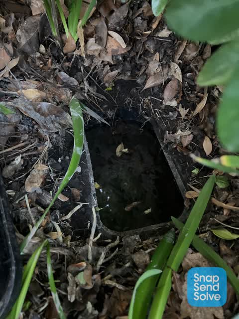 Water Leak, a report photo
