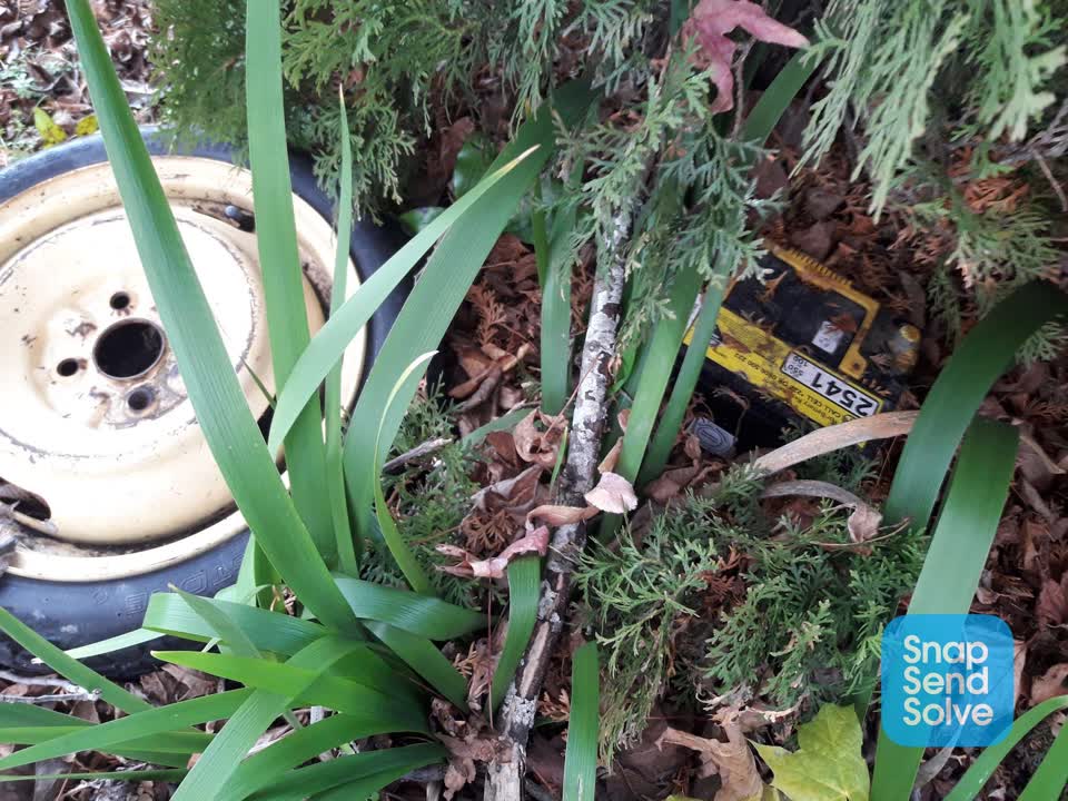 The photograph attached to this rubbish/recycling report