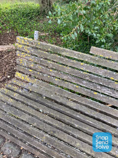 Parks — a report photo