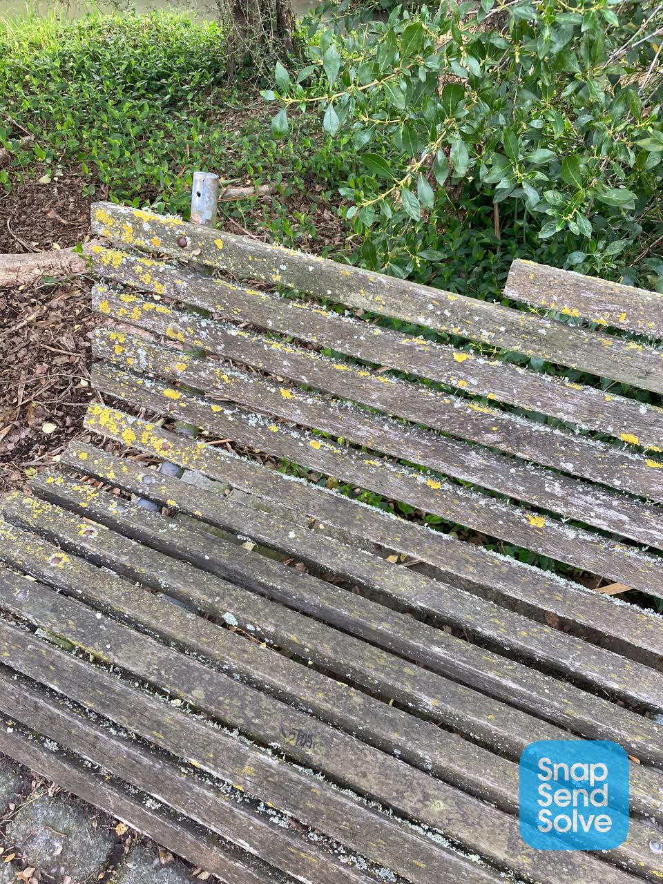 The photograph attached to this parks report