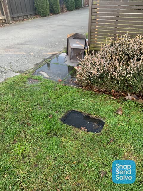 Water Leak, a report photo