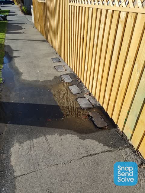 Water Leak, a report photo