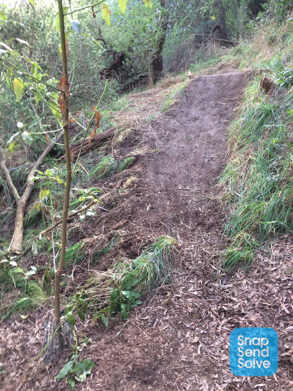 The photograph attached to this parks report
