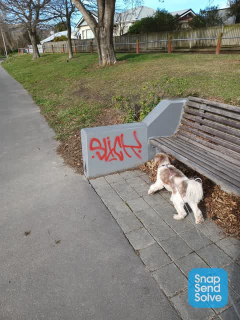 Graffiti — a report photo