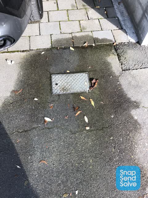 Water Leak, a report photo