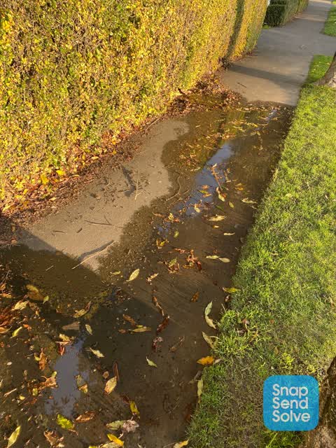 Water Leak, a report photo