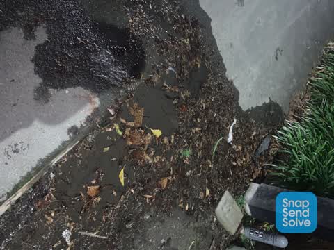 Water Leak, a report photo