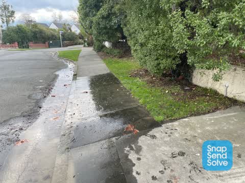 Water Leak, a report photo
