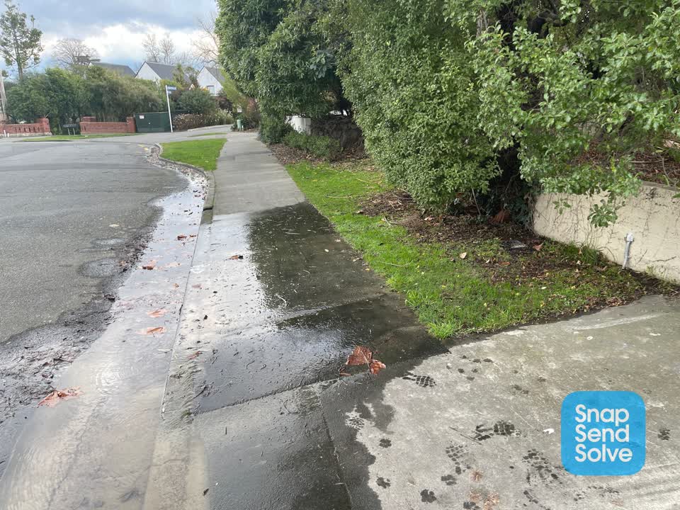 The photograph attached to this water leak report