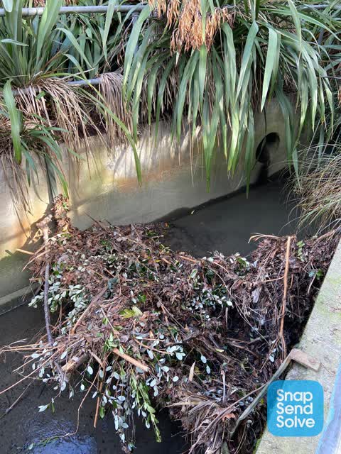 Wastewater/Stormwater, a report photo
