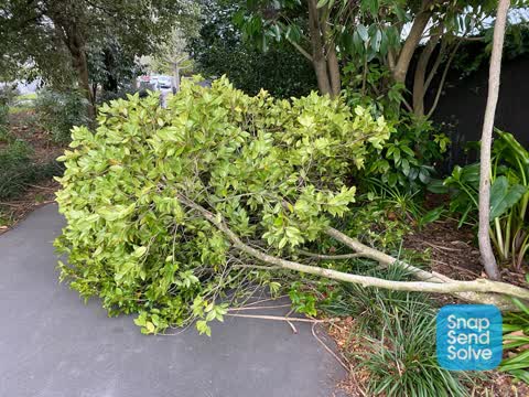 Parks — a report photo