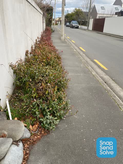 Roading/Streets, a report photo