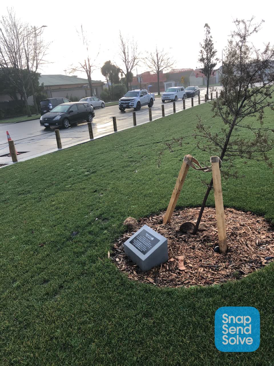 The photograph attached to this parks report