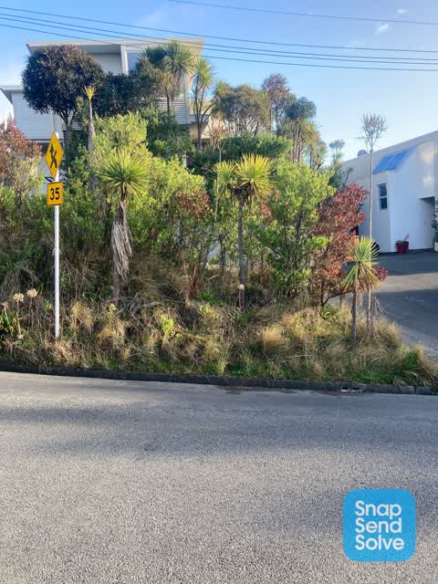 Water Leak, a report photo