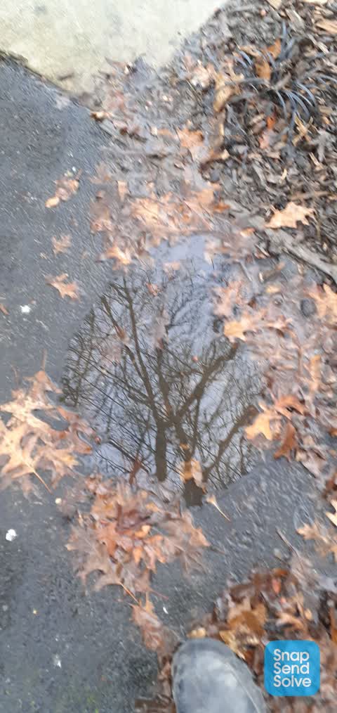 Water Leak, a report photo