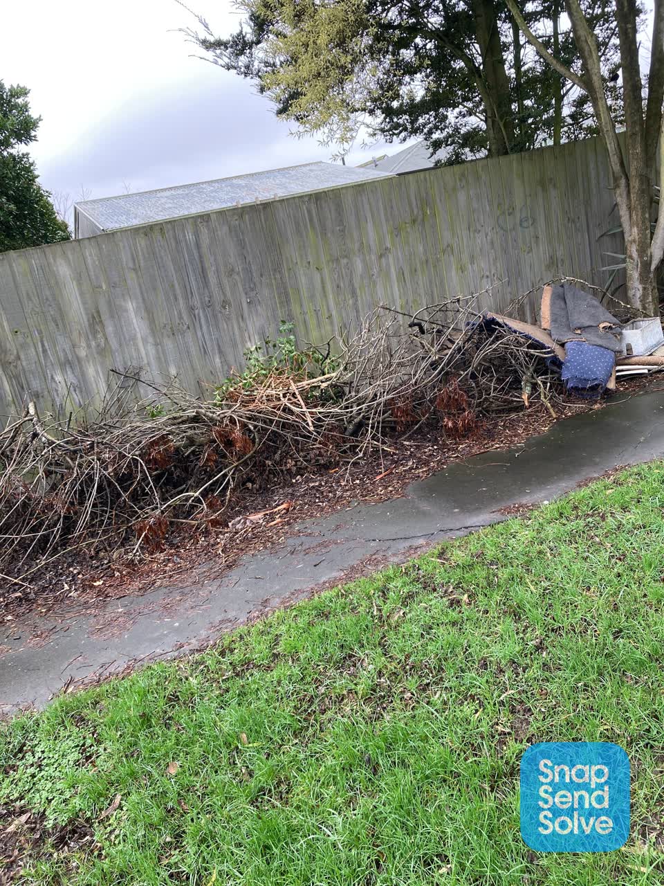 The photograph attached to this parks report
