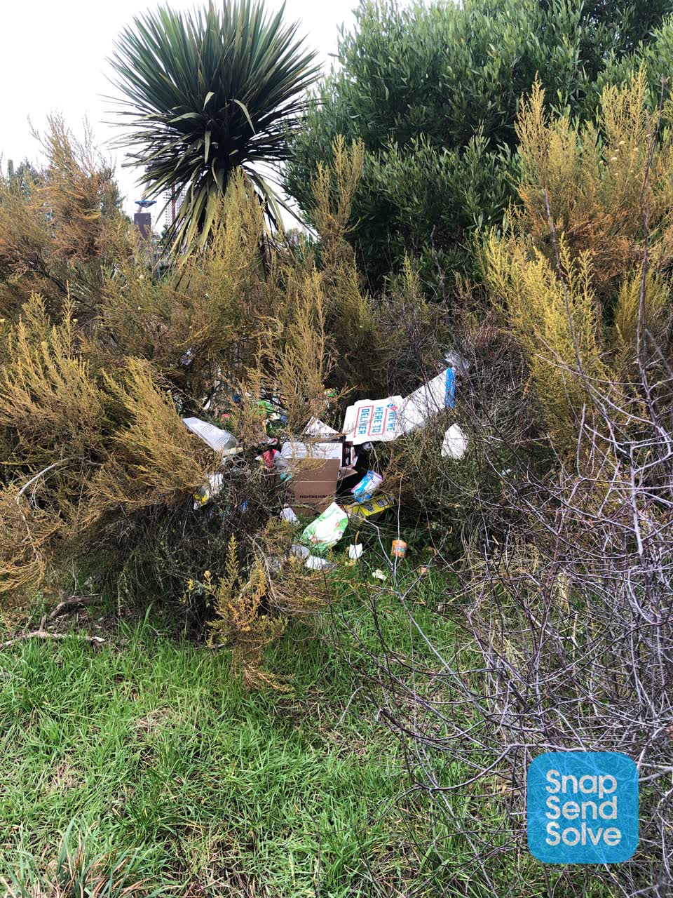 The photograph attached to this parks report