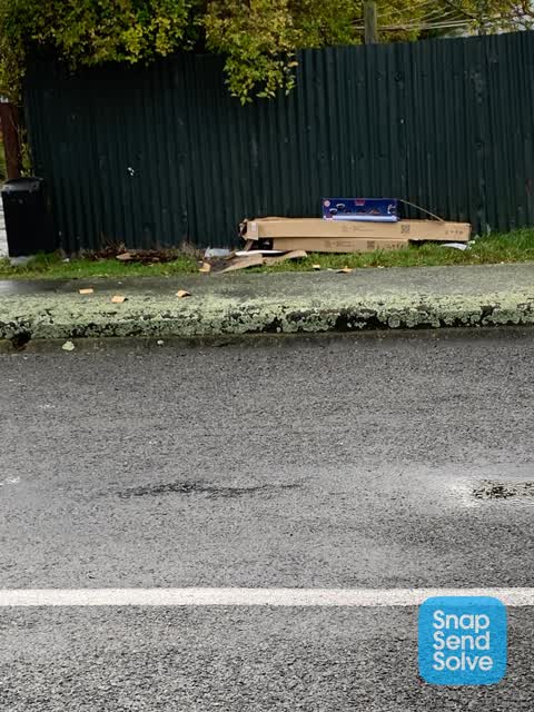 Rubbish/Recycling, a report photo