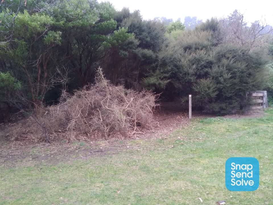 The photograph attached to this parks report