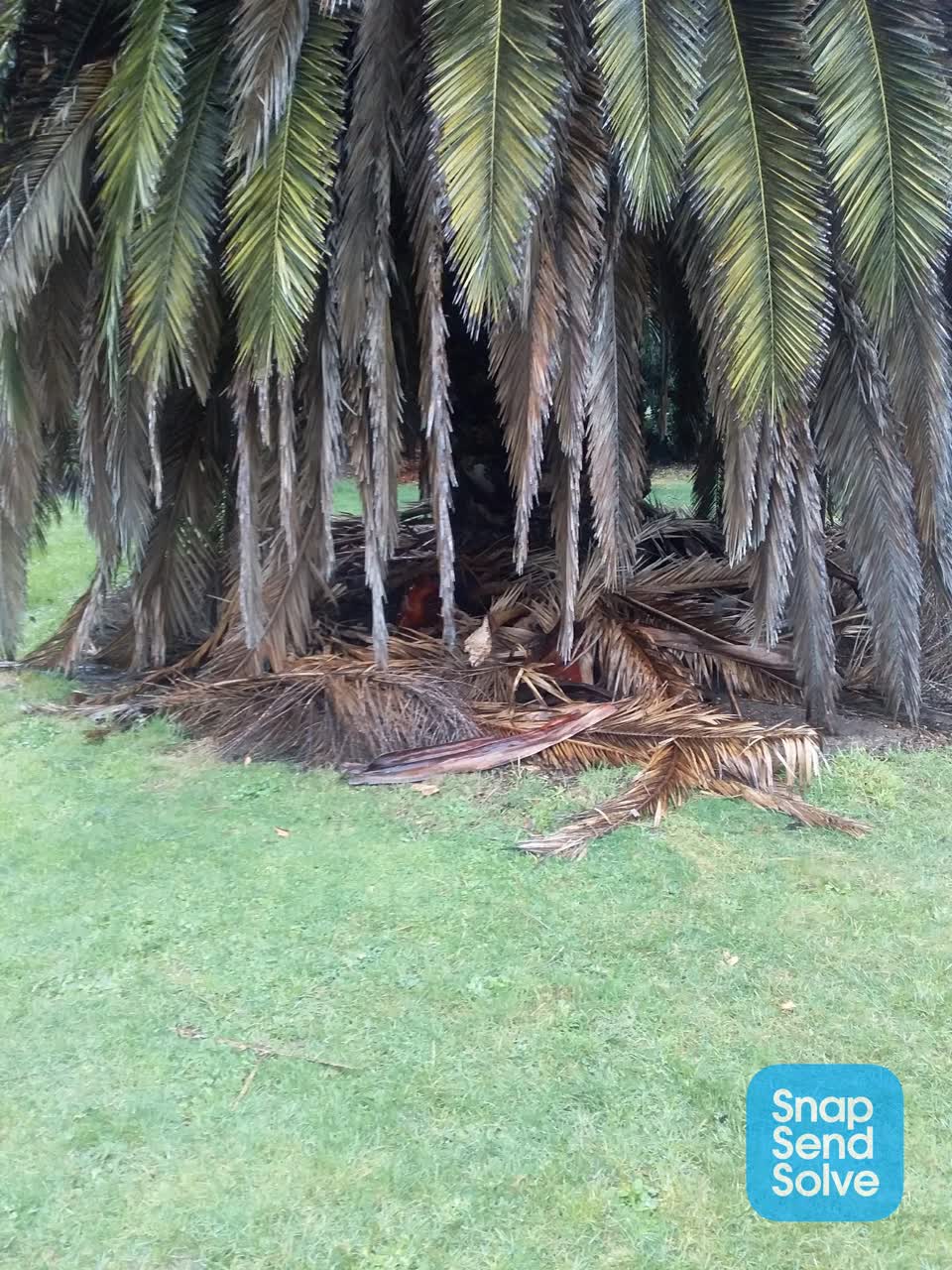 The photograph attached to this park - general request report