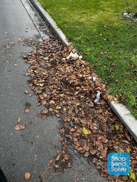 Street Gutters / Storm Water, a report photo