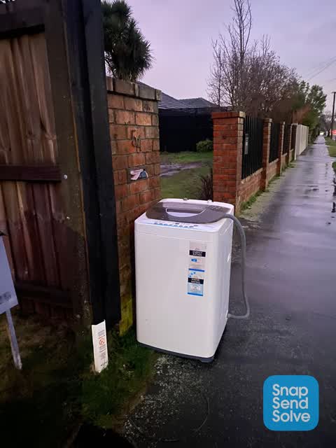 Litter, a report photo
