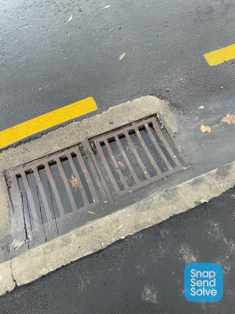 Street Gutters / Storm Water, a report photo