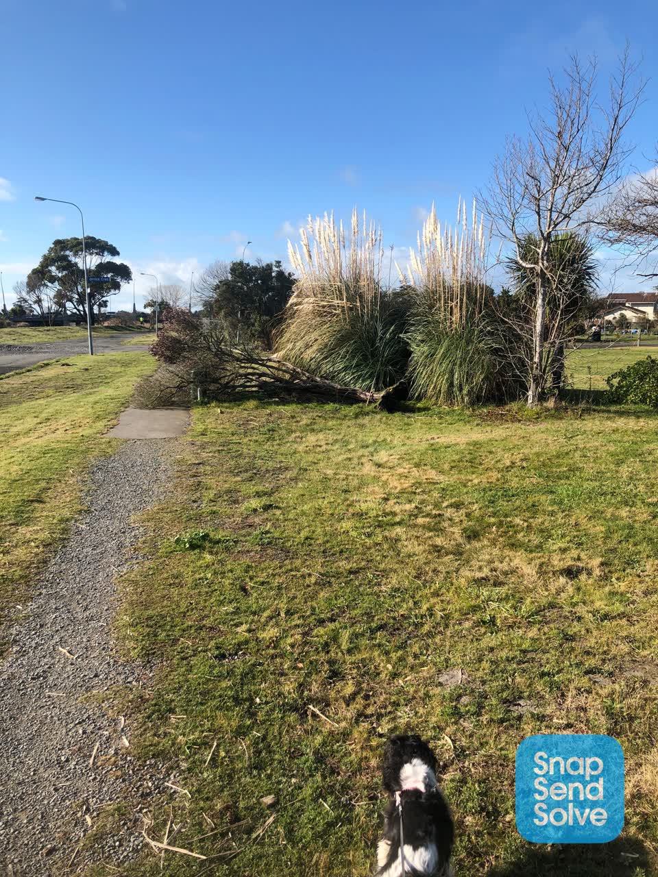 The photograph attached to this park - general request report
